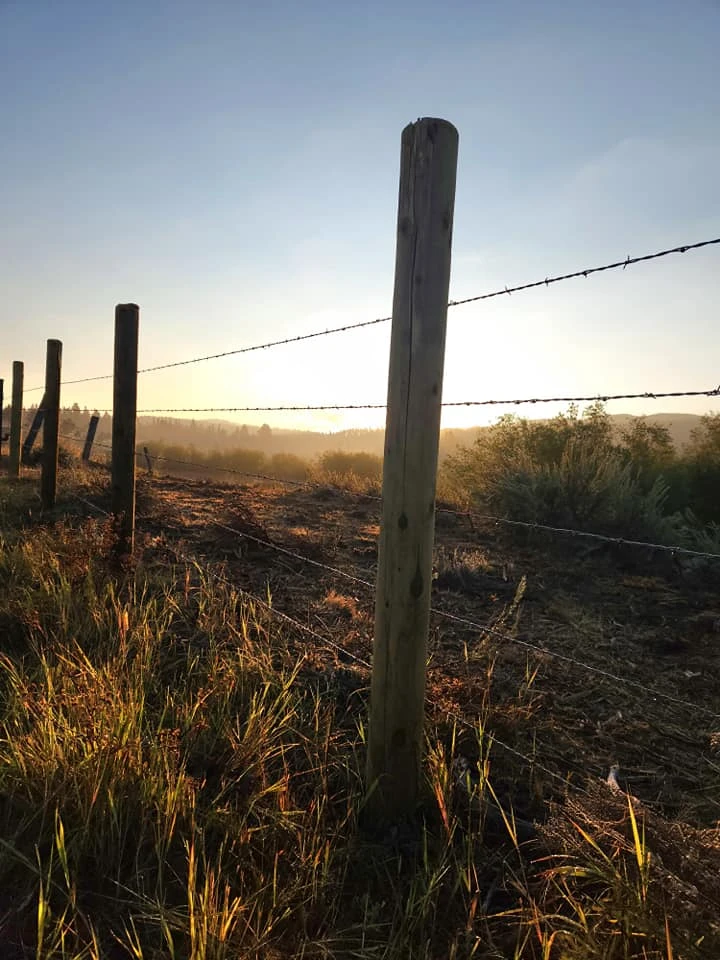 Rough Cuts Fencing, Horseshoe Bend